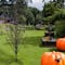 9ft. Pre-Lit Black Cascade Outdoor Halloween Twig Tree, Orange Lights